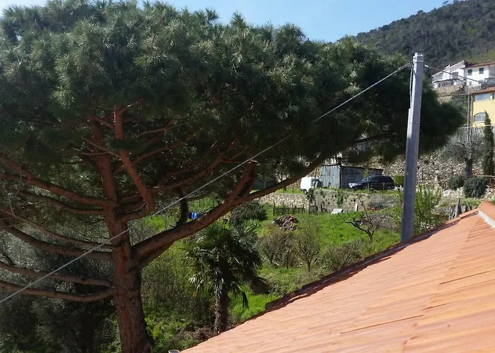 Sol Y Ombra Nyaraló Voze