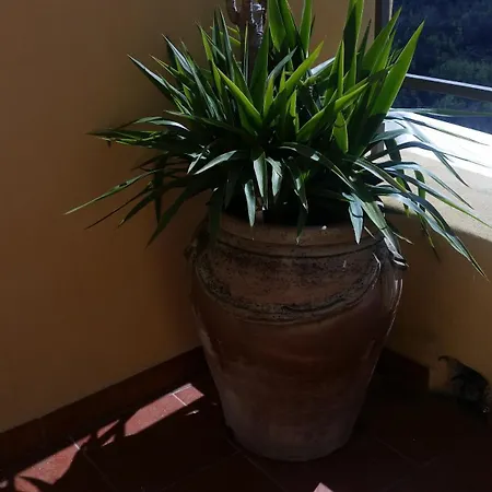 Sol Y Ombra Tatil Evi Voze