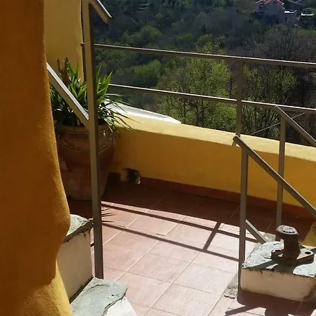 Sol Y Ombra