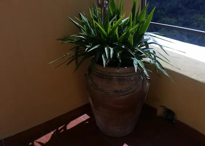 Sol Y Ombra Dom wakacyjny Voze